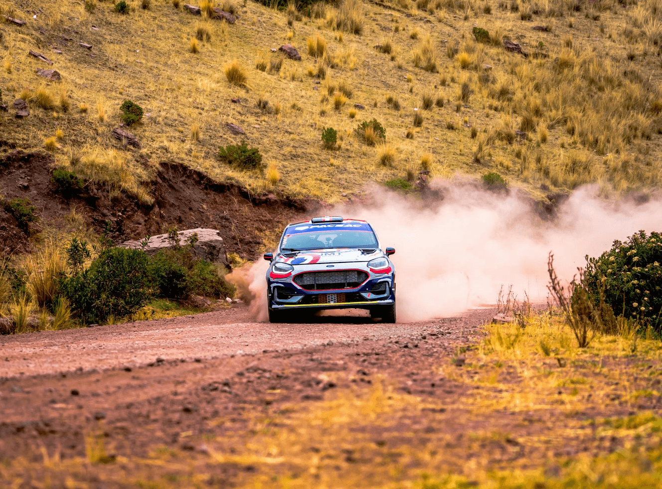 RallyRec product view